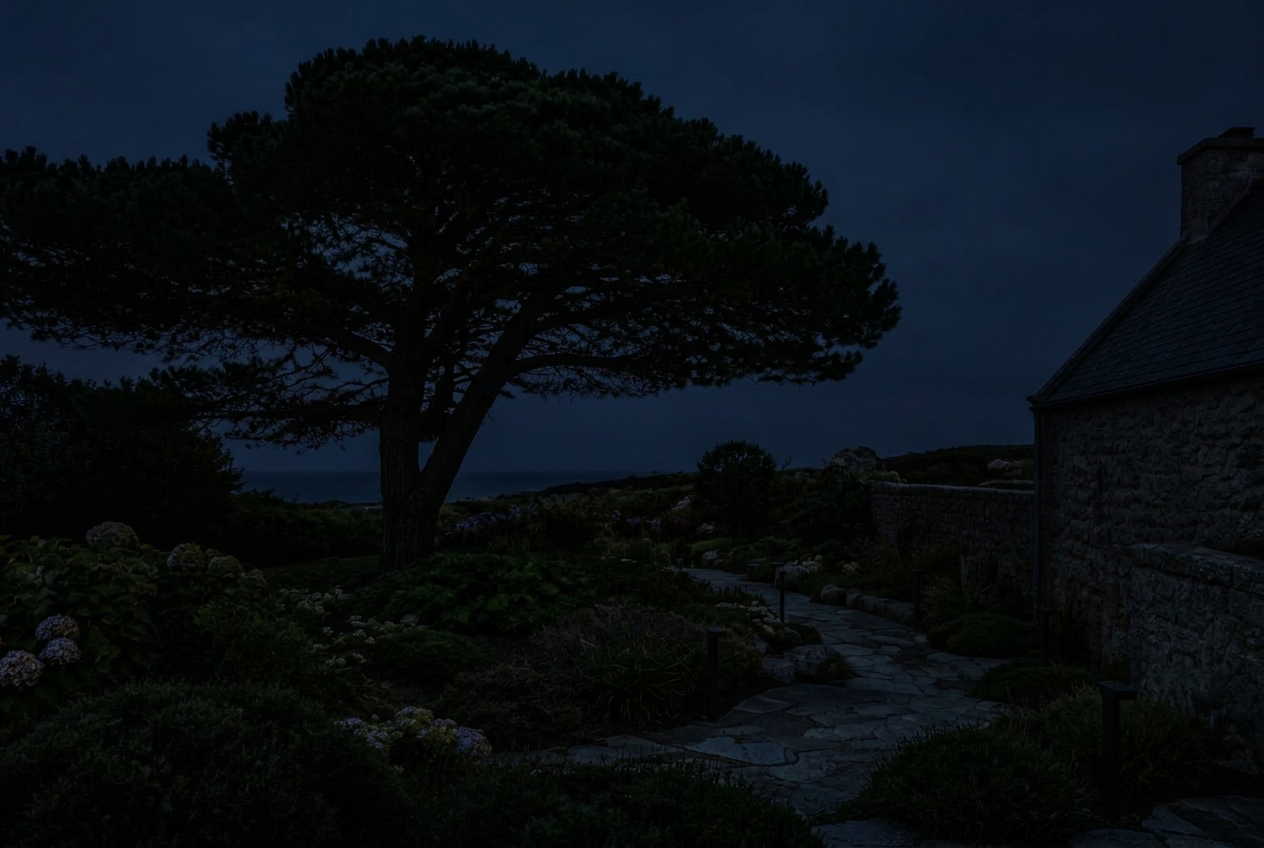 Le même jardin, sans éclairage